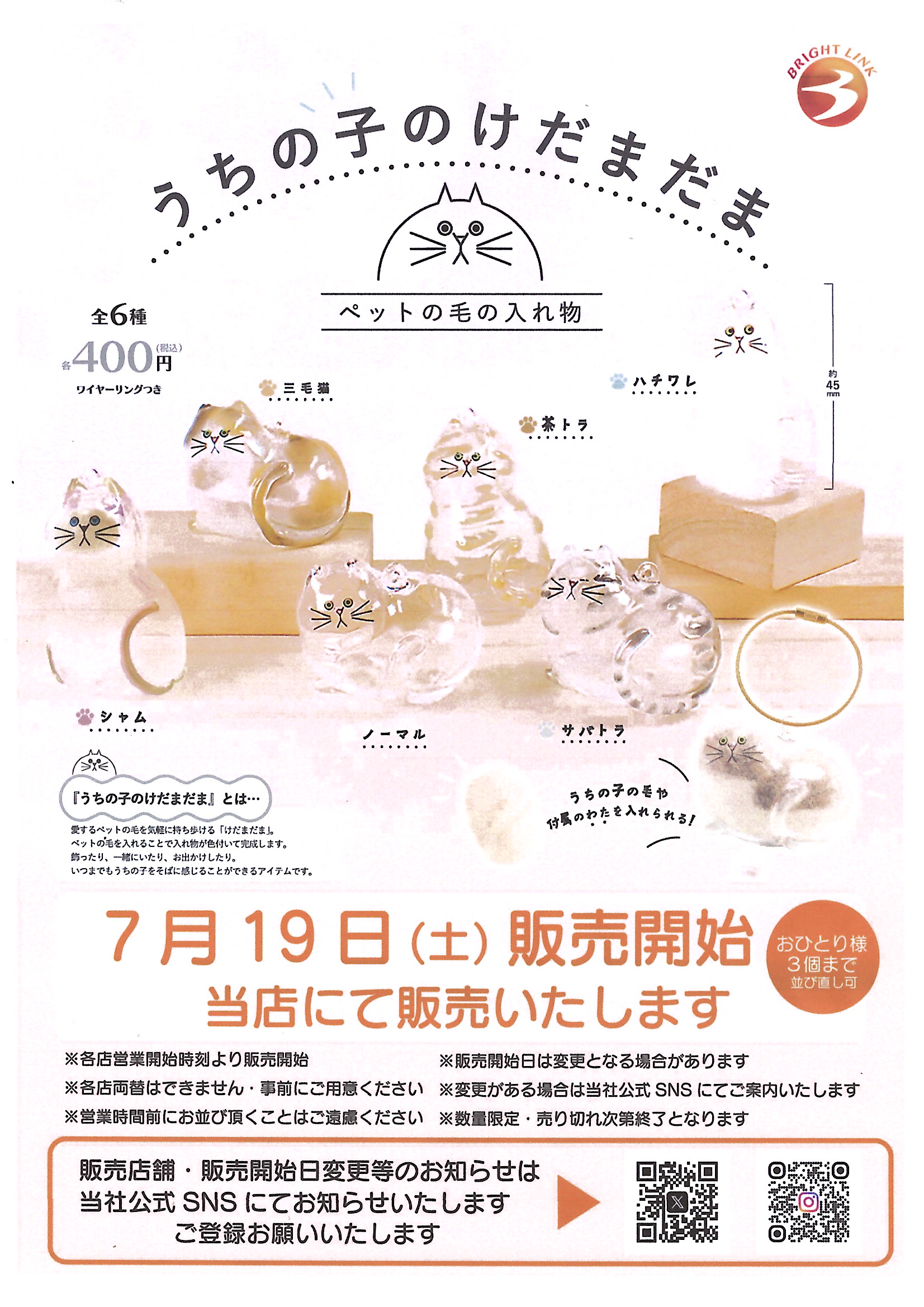 うちの子のけだまだま　セルフペイント　ねこ 　猫 うちの子のけだまだま | 新商品「セルフペイント猫」を使って