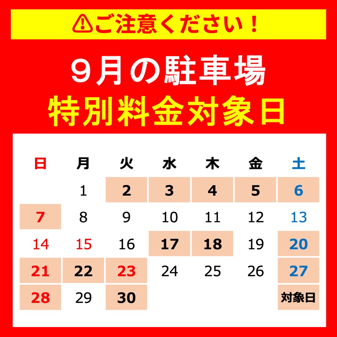 8/16(土)paypayドーム駐車券 PayPayドーム 駐車権利券 8/16 - メルカリ